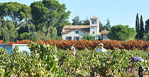 DOMAINE DE  LA ROUQETTE