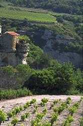 Minerve