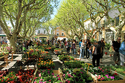 Serignan Marché